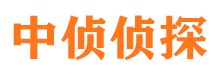 青山市婚外情调查